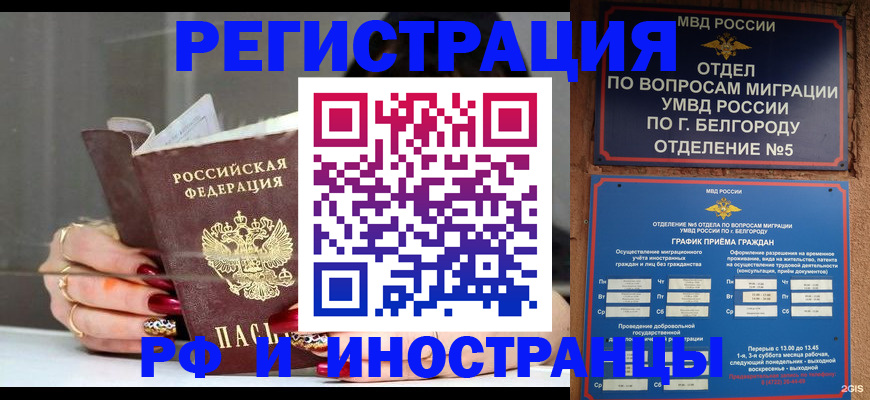 прописка в Дмитрове